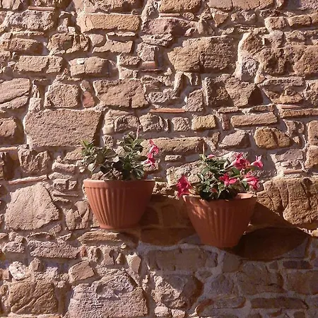 Дом отдыха Casa Vacanza Nel Cuore Del Cilento